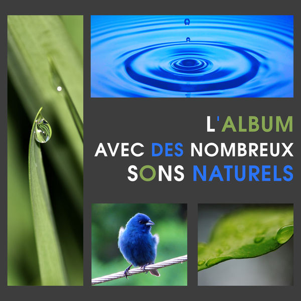 Club de méditer de détendre|L'album avec des nombreux sons naturels - Musique new age de détente, Parfait ambiance musical pour yoga, Meditation et pilates