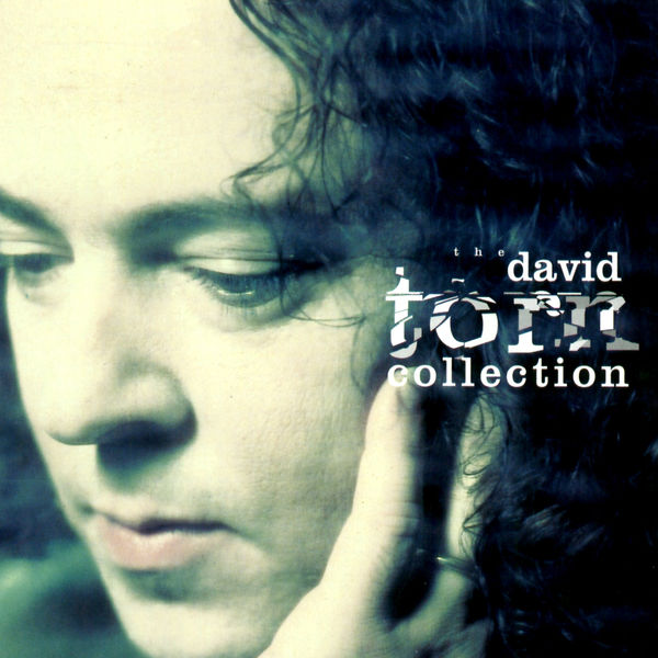 David Torn|The David Torn Collection David Torn|The David Torn Collection