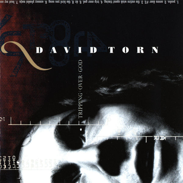 David Torn|Tripping Over God David Torn|Tripping Over God