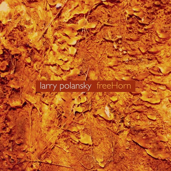 David Kant|Larry Polansky: freeHorn David Kant|Larry Polansky: freeHorn