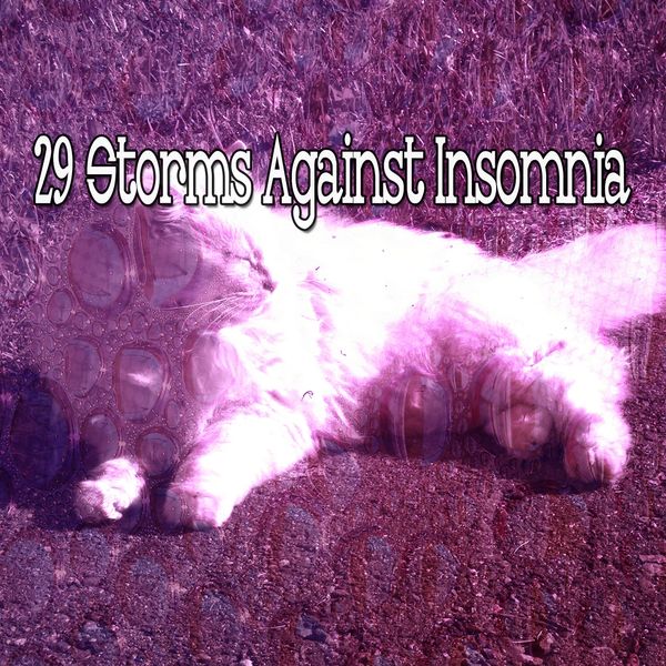 Rain Sounds Sleep - 29 Storms Against Insomnia Rain Sounds Sleep - 29 Storms Against Insomnia
