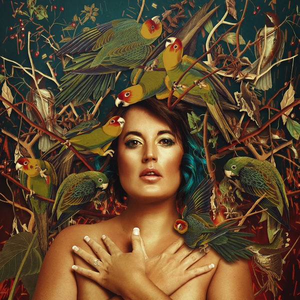 Goodluck|Bird of Paradise Goodluck|Bird of Paradise