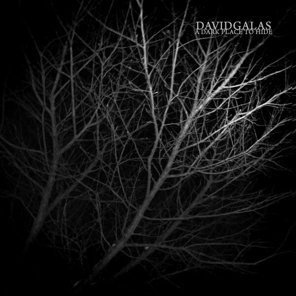 David Galas|A Dark Place To Hide