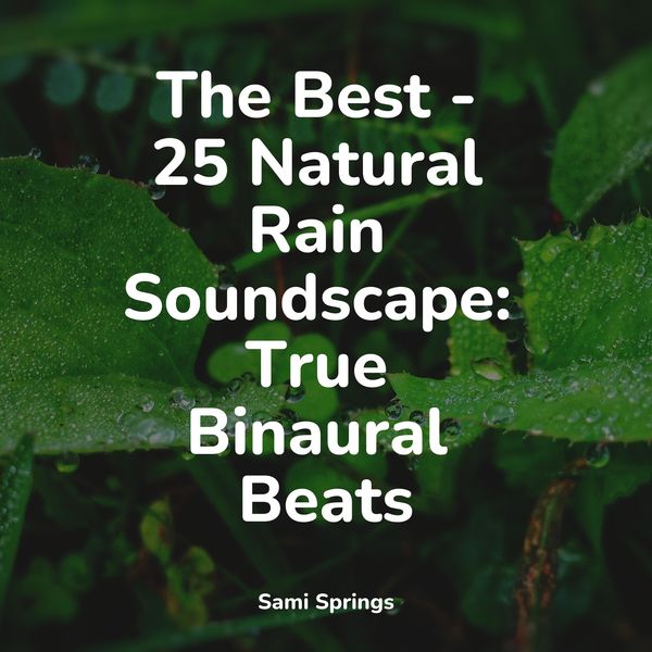 Sonidos De Lluvia y Tormentas|The Best - 25 Natural Rain Soundscape: True Binaural Beats Sonidos De Lluvia y Tormentas|The Best - 25 Natural Rain Soundscape: True Binaural Beats