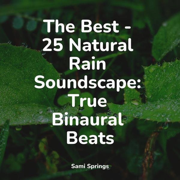 Sonidos De Lluvia y Tormentas|The Best - 25 Natural Rain Soundscape: True Binaural Beats