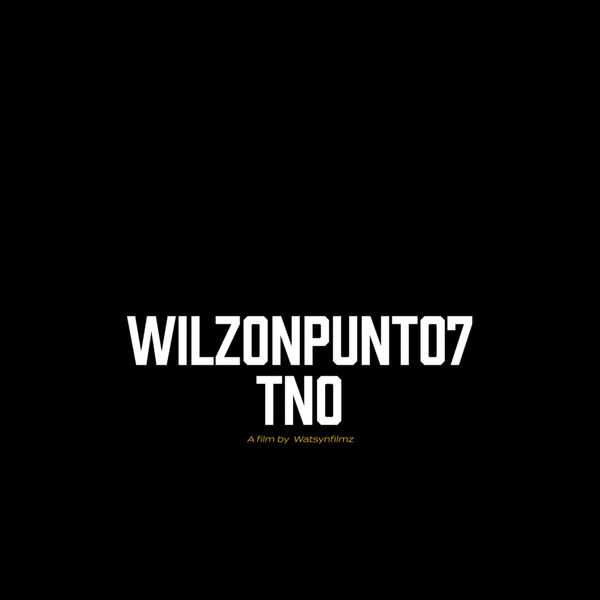 Wilzon|TNO (en nadie confio) Wilzon|TNO (en nadie confio)