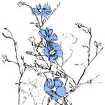 Graintable Music to Watch Seeds Grow By 003: Graintable (Blue Flax)