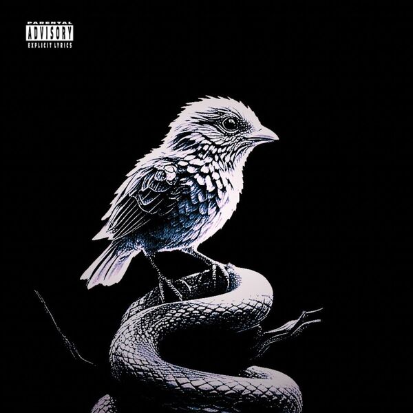 one-three|BIRDS DON'T SING, THEY SCREECH IN PAIN (SECRETLY) one-three|BIRDS DON'T SING, THEY SCREECH IN PAIN (SECRETLY)