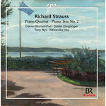 Doren Dinglinger Strauss: Piano Quartet in C Major, Op. 13, TrV 137 & Piano Trio No. 2 in D Major, TrV 71