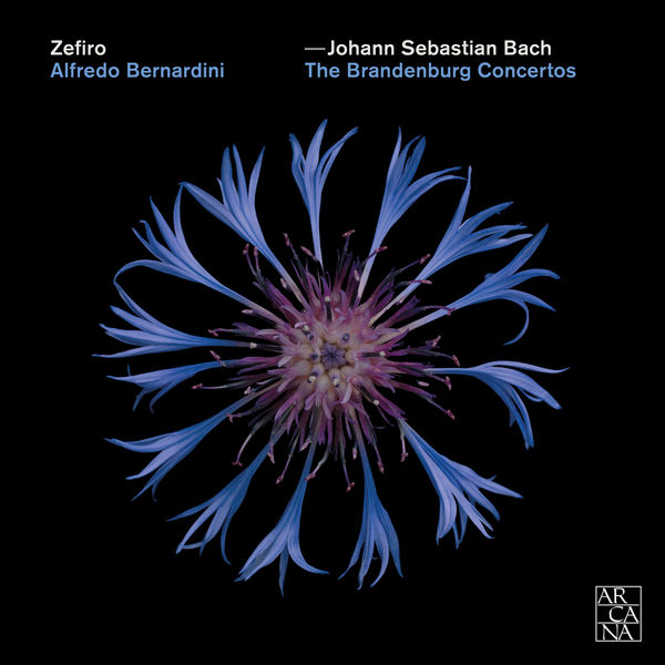 Alfredo Bernardini - Bach : The Brandenburg Concertos Alfredo Bernardini - Bach : The Brandenburg Concertos