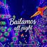 Unsigned Adventures Bailamos All Night
