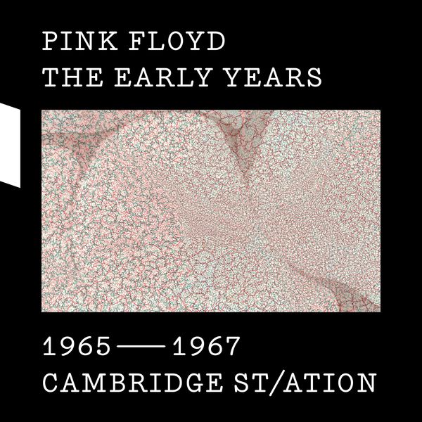 Pink Floyd - Vegetable Man (2010 Mix) Pink Floyd - Vegetable Man (2010 Mix)