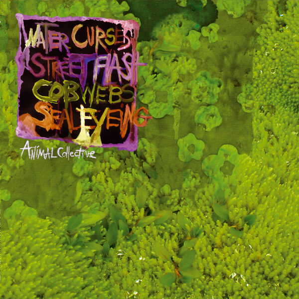 Animal Collective|Water Curses Animal Collective|Water Curses
