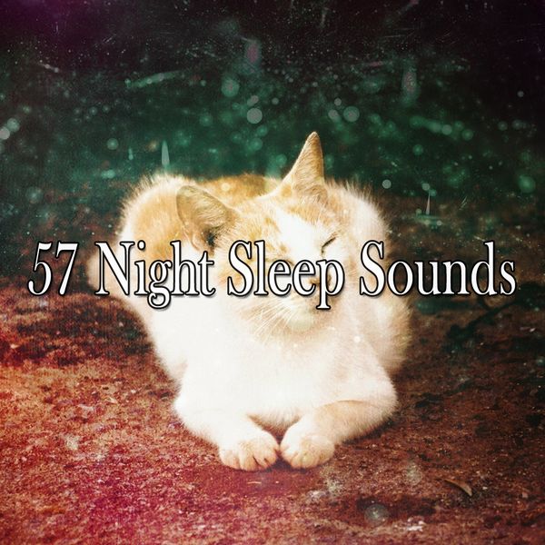 57 Night Sleep Sounds, All Night Sleeping Songs to Help You Relax Qobuz