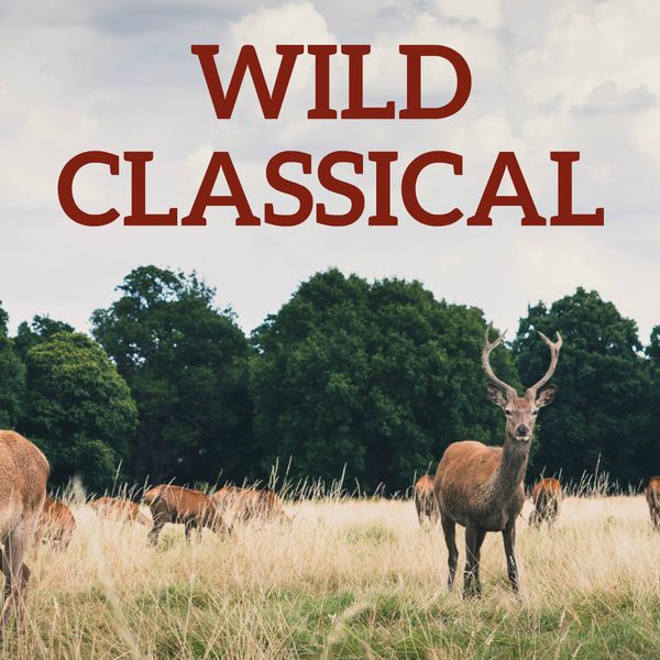 Richard Wagner - Wild Classical Richard Wagner - Wild Classical