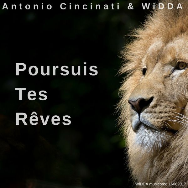 Album Poursuis Tes Reves Antonio Cincinati Qobuz Download And Streaming In High Quality