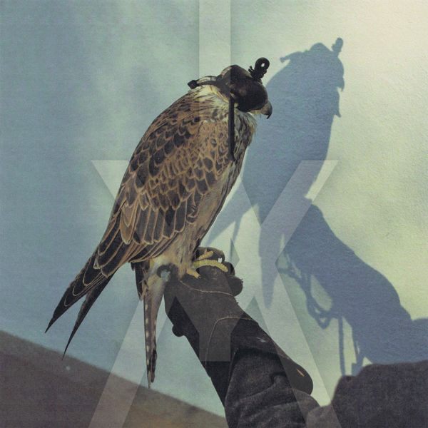 Iceage|You're Nothing (+ 2) Iceage|You're Nothing (+ 2)