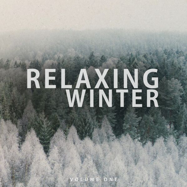 Various Artists - Relaxing Winter, Vol. 1 (Wonderful Calm & Chilled Electronic Music) Various Artists - Relaxing Winter, Vol. 1 (Wonderful Calm & Chilled Electronic Music)