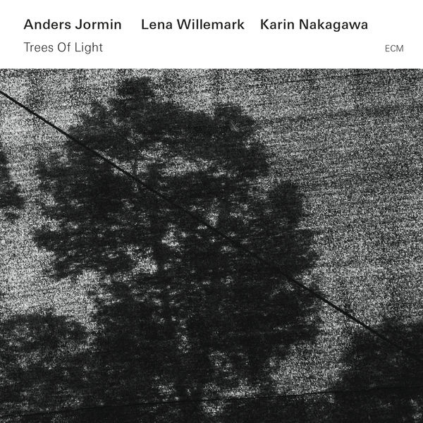 Lena Willemark|Trees Of Light