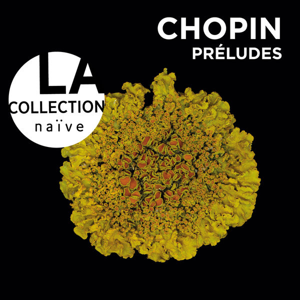 Grigory Sokolov - Frédéric Chopin : Préludes Grigory Sokolov - Frédéric Chopin : Préludes