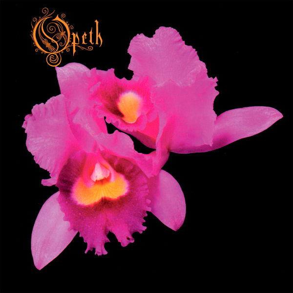 Opeth|Orchid Opeth|Orchid