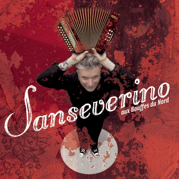 Sanseverino|Sanseverino Aux Bouffes Du Nord