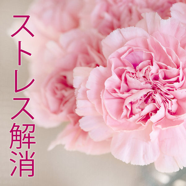 Album ストレス解消 癒しの音楽 リラクゼーション ピアノ De ストレス解消 Qobuz Telechargez Et Streamez En Haute Qualite