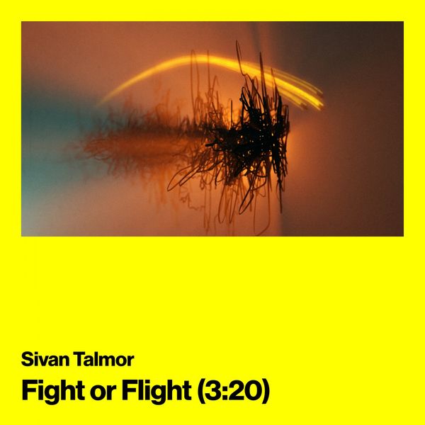 Sivan Talmor - Fight or Flight Sivan Talmor - Fight or Flight