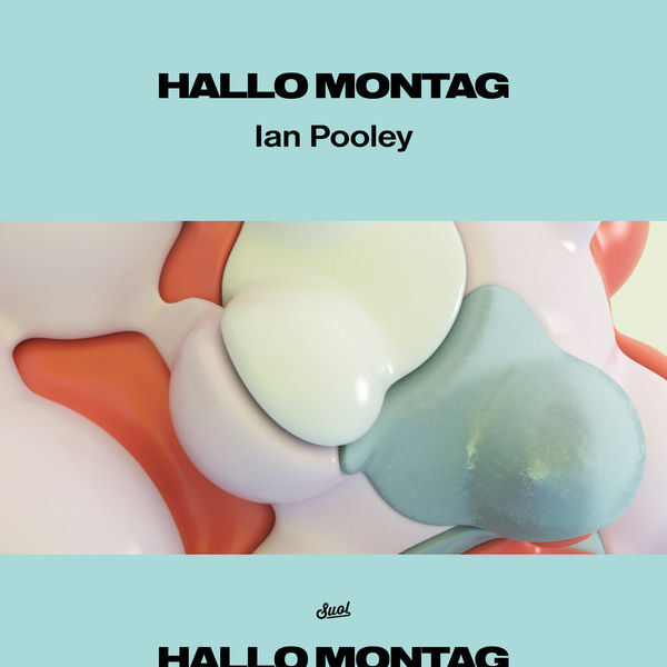 Ian Pooley|Puzzled Ian Pooley|Puzzled