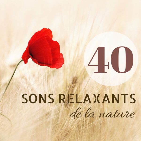 40 sons relaxants de la nature - Musique de fond pour yoga et