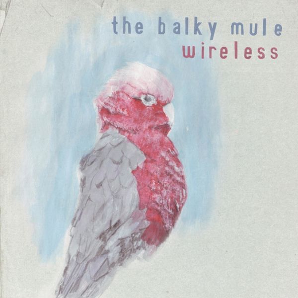 The Balky Mule - Wireless The Balky Mule - Wireless