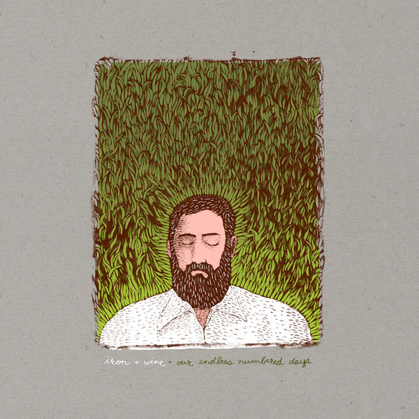 Iron & Wine|Passing Afternoon  (Demo)