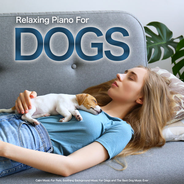 Dog Music|Relaxing Piano For Dogs: Calm Music For Pets, Soothing Background Music For Dogs and The Best Dog Music Ever