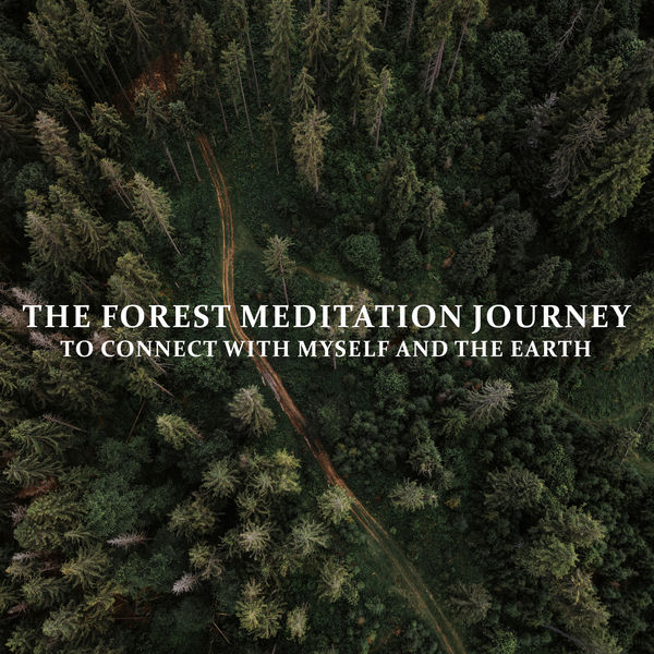 The Forest Meditation: Journey to Connect with Myself and the Earth ...