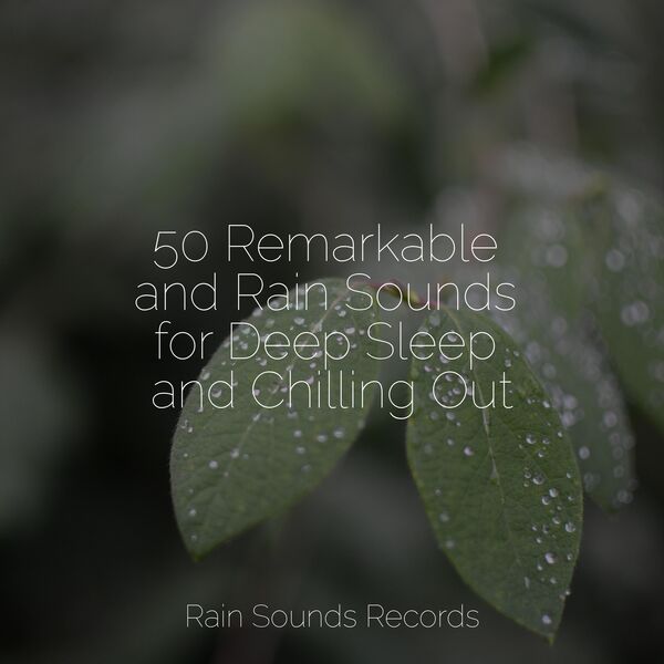 50 Remarkable and Rain Sounds for Deep Sleep and Chilling Out, Sons da ...