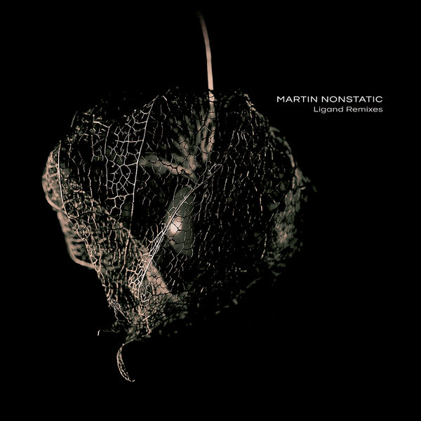 Martin Nonstatic - Ligand Remixes Martin Nonstatic - Ligand Remixes