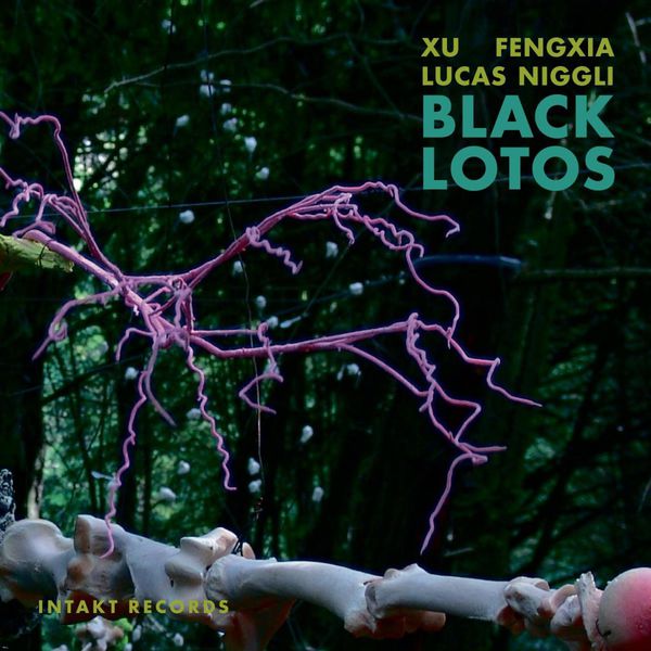 Xu Fengxia|Black Lotos