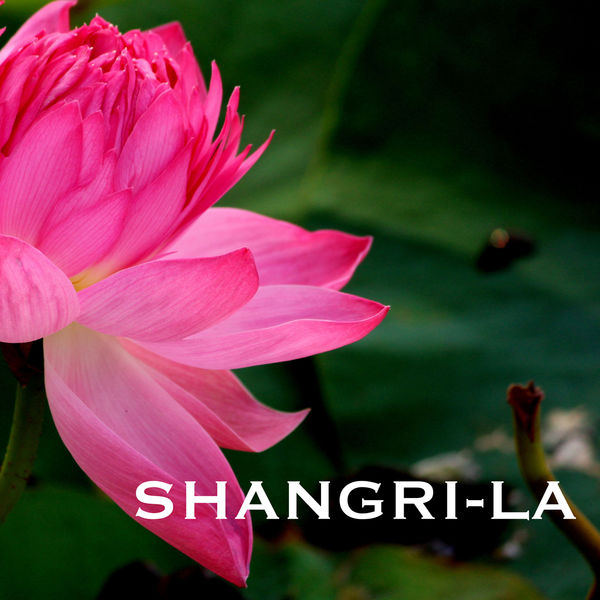 Indian Summer|Shangri-La - Traditional Indian Meditation Music, Folk Songs, Sitar Instrumental Background for Mindfulness Meditations