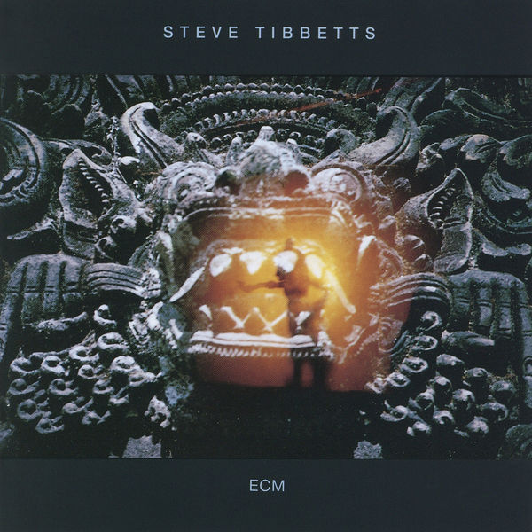 Steve Tibbetts - The Fall Of Us All Steve Tibbetts - The Fall Of Us All
