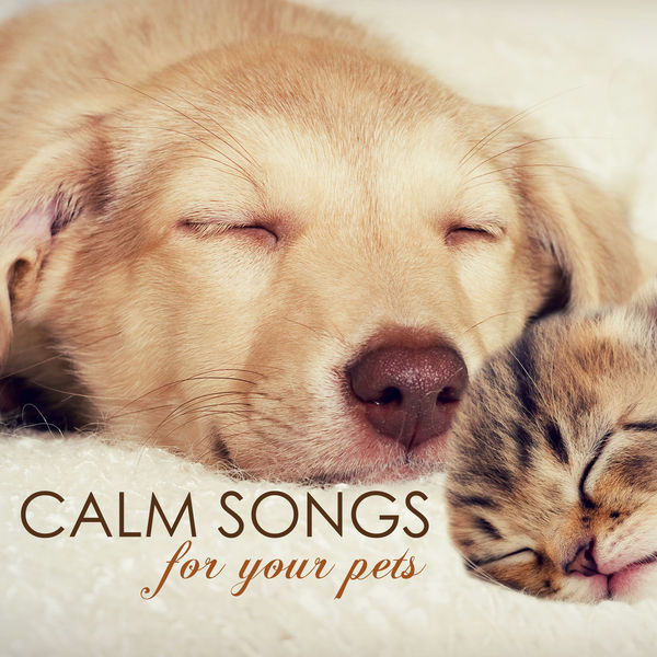 Pet Music Calming Sounds For Puppies Canine Calm Dog Music - Main Image