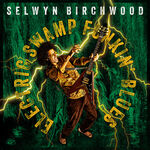 Selwyn Birchwood Electric Swamp Funkin' Blues