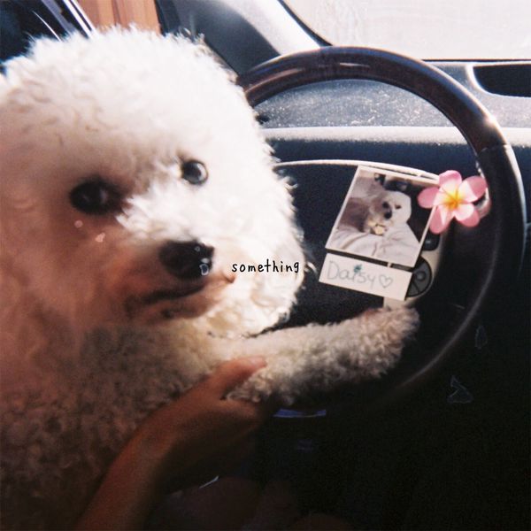gnash|something gnash|something