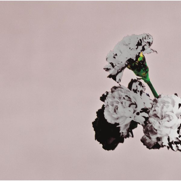 John Legend|Love In The Future (special edition) John Legend|Love In The Future (special edition)