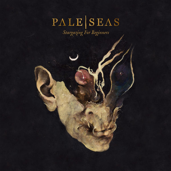 Pale Seas|Stargazing for Beginners Pale Seas|Stargazing for Beginners