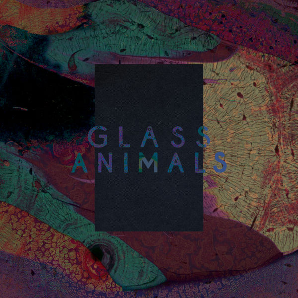 Glass Animals|Black Mambo / Exxus Glass Animals|Black Mambo / Exxus