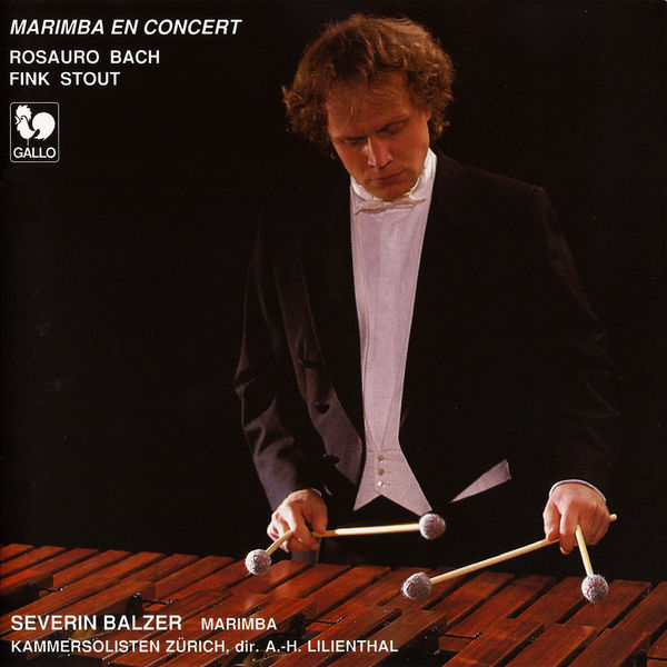 Kammersolisten Zürich|Rosauro, Bach, Fink & Stout: Marimba en concert Kammersolisten Zürich|Rosauro, Bach, Fink & Stout: Marimba en concert