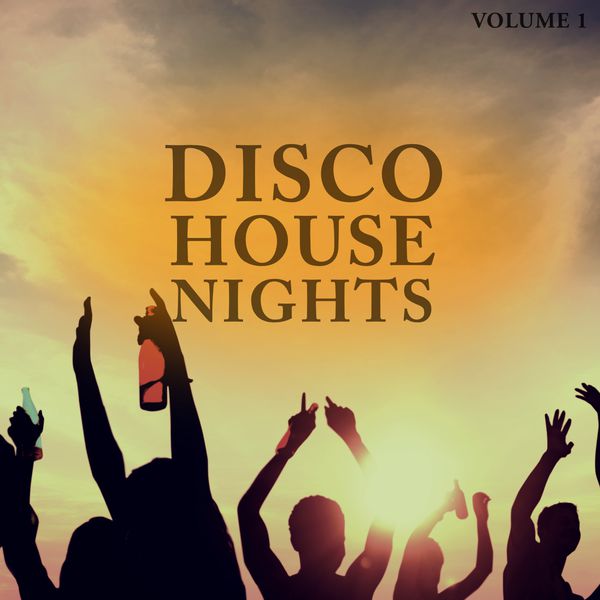 Various Artists|Disco House Nights, Vol. 1 (Wonderful Mix Of Smooth Disco & Club Disco Sound)