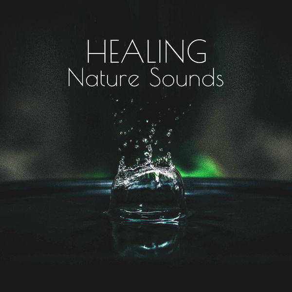 Ocean Sounds|Healing Nature Sounds – Soft Music to Relax, Inner Peace, Mind Control, Sounds to Meditate, Zen Garden