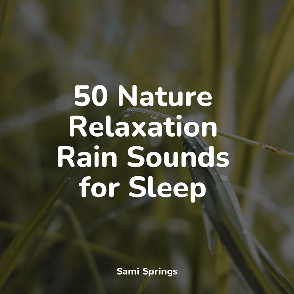 50 Nature Relaxation Rain Sounds for Sleep, Lullabies for Deep ...