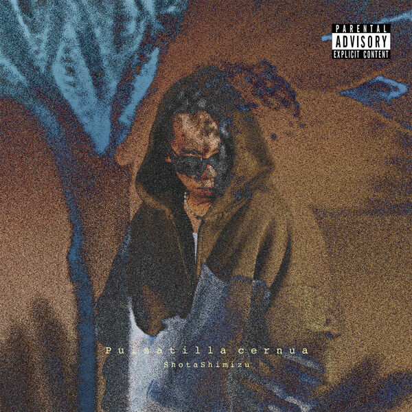 DON'T FORGET MY NAME, 清水 翔太 - Qobuz